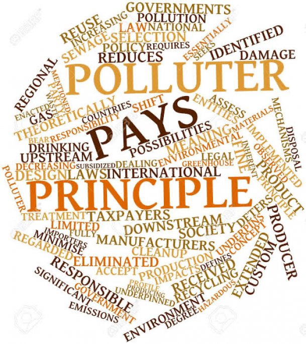 Polluter Pay Principle